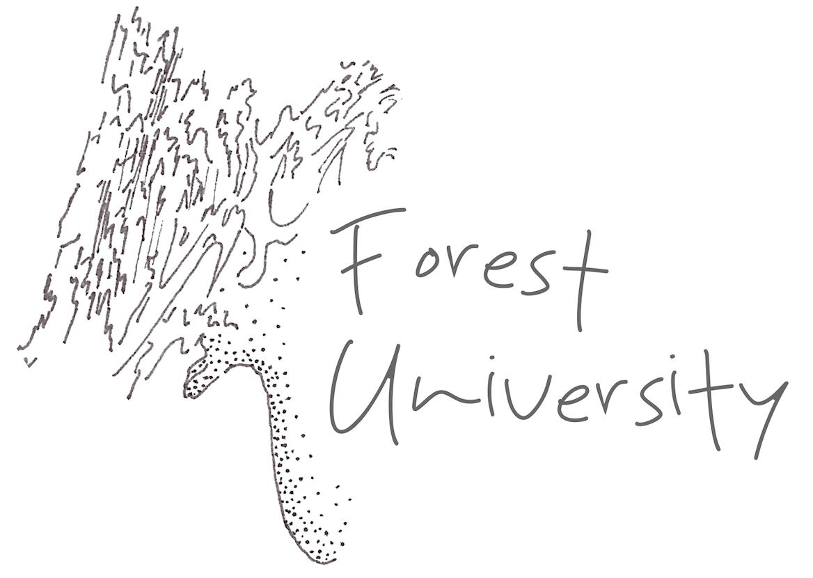 Forest university